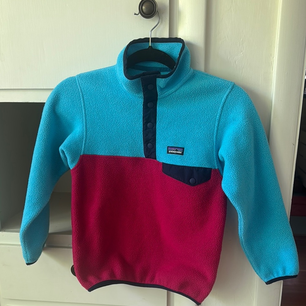 Patagonia Blue and Red Sweatshirt Hoodie